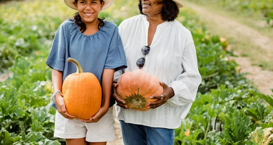 Ultrices sagittis orci a scelerisque purus semper eget duis at. Sollicitudin nibh sit amet.